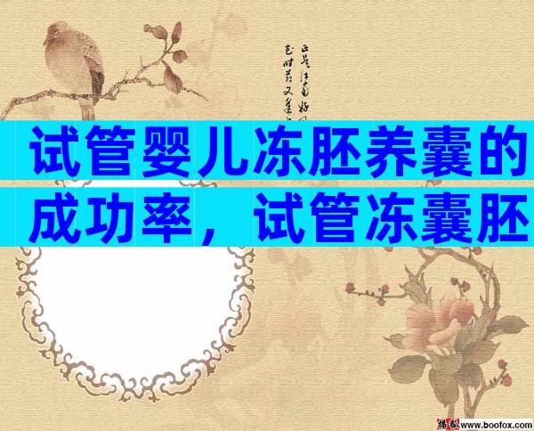 试管婴儿冻胚养囊的成功率，试管冻囊胚可以养多久时间？