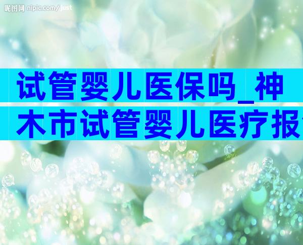 试管婴儿医保吗_神木市试管婴儿医疗报销吗