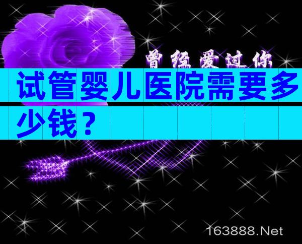 试管婴儿医院需要多少钱？