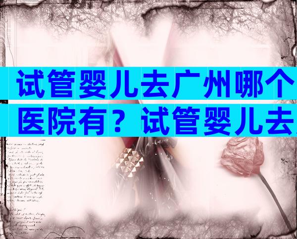 试管婴儿去广州哪个医院有？试管婴儿去广州哪个医院有风险？