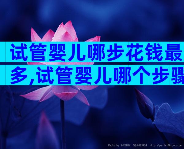 试管婴儿哪步花钱最多,试管婴儿哪个步骤花费最大