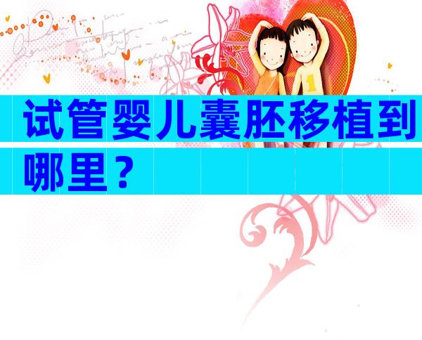试管婴儿囊胚移植到哪里？