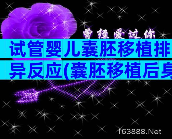 试管婴儿囊胚移植排异反应(囊胚移植后身体排异)