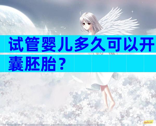 试管婴儿多久可以开囊胚胎？