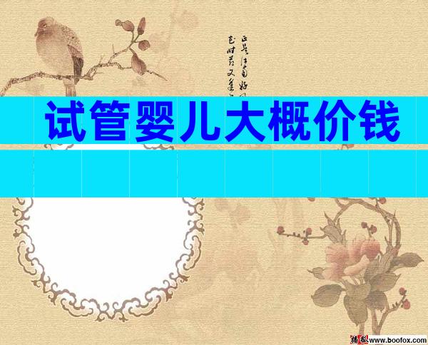 试管婴儿大概价钱
