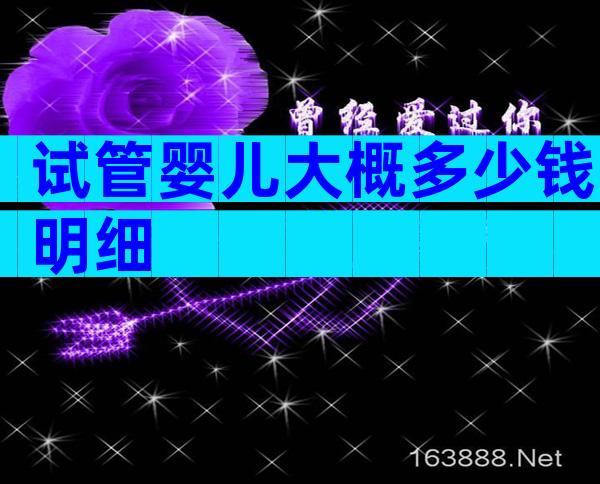 试管婴儿大概多少钱明细