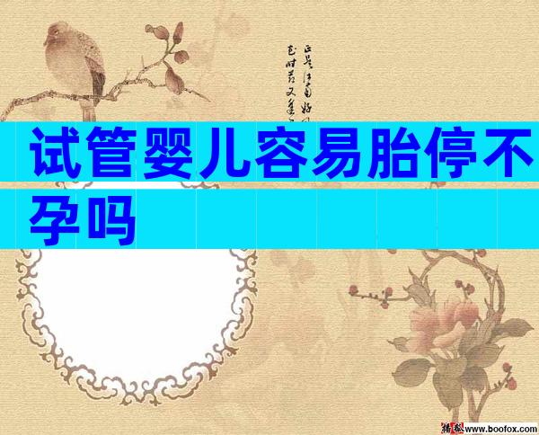 试管婴儿容易胎停不孕吗