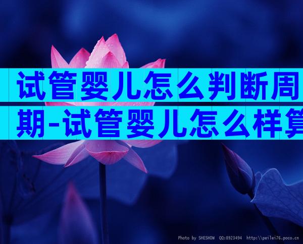 试管婴儿怎么判断周期-试管婴儿怎么样算周期