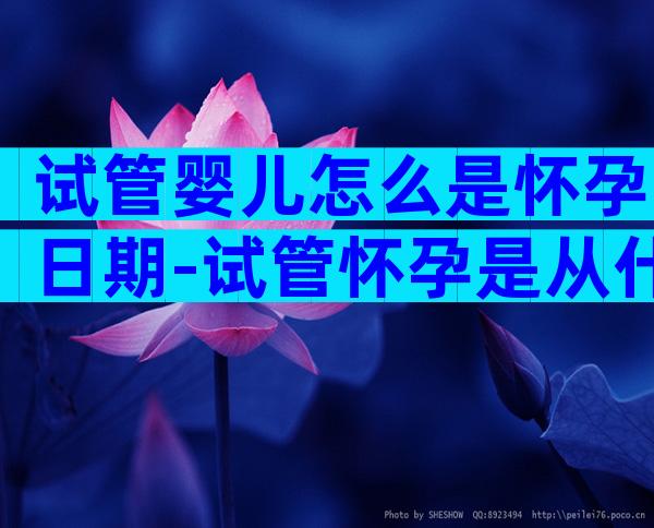 试管婴儿怎么是怀孕日期-试管怀孕是从什么时候开始算