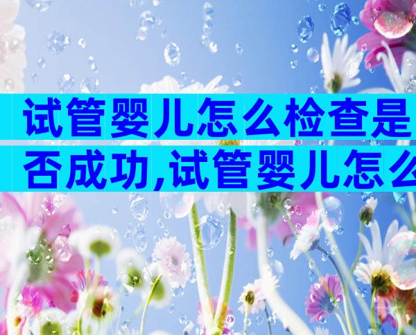 试管婴儿怎么检查是否成功,试管婴儿怎么确定怀孕