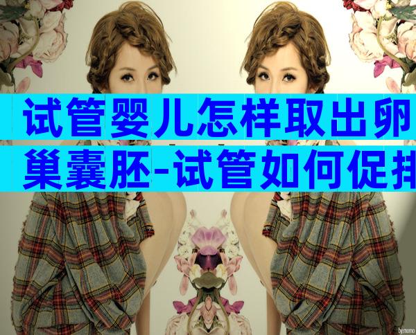 试管婴儿怎样取出卵巢囊胚-试管如何促排卵
