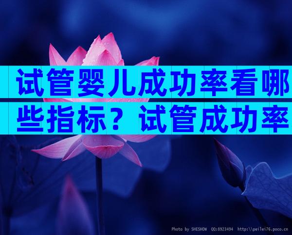 试管婴儿成功率看哪些指标？试管成功率取决于什么？
