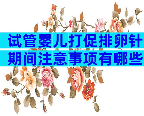 试管婴儿打促排卵针期间注意事项有哪些呢？