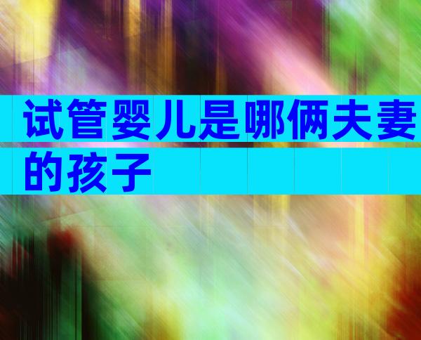 试管婴儿是哪俩夫妻的孩子