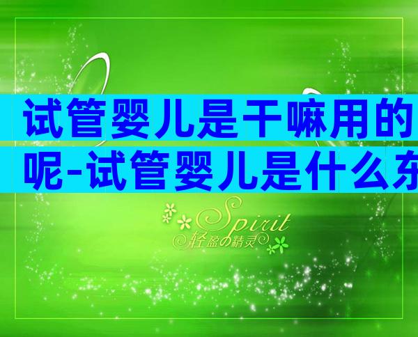 试管婴儿是干嘛用的呢-试管婴儿是什么东东