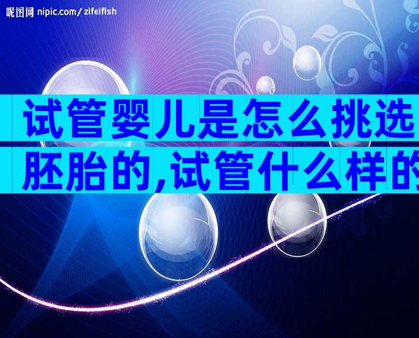 试管婴儿是怎么挑选胚胎的,试管什么样的胚胎比较好