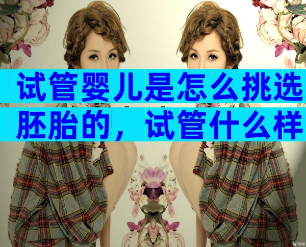 试管婴儿是怎么挑选胚胎的，试管什么样的胚胎比较好