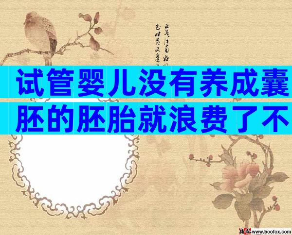 试管婴儿没有养成囊胚的胚胎就浪费了不能移植了吗？