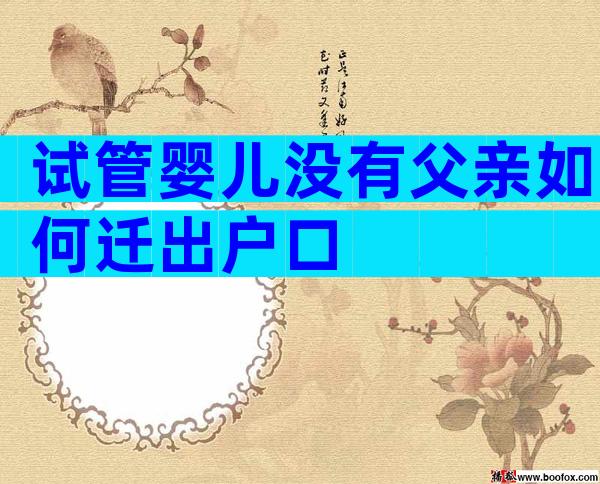 试管婴儿没有父亲如何迁出户口