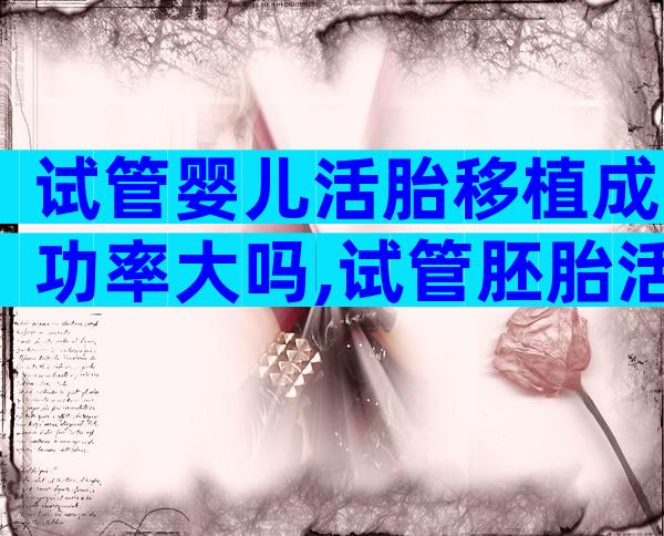试管婴儿活胎移植成功率大吗,试管胚胎活检费多少钱