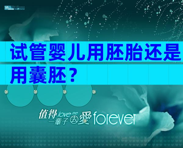 试管婴儿用胚胎还是用囊胚？