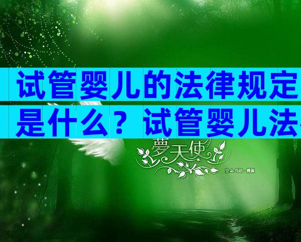 试管婴儿的法律规定是什么？试管婴儿法律条件