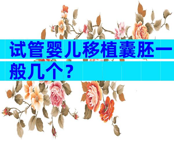 试管婴儿移植囊胚一般几个？