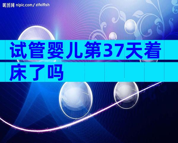 试管婴儿第37天着床了吗