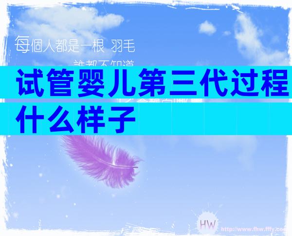 试管婴儿第三代过程什么样子