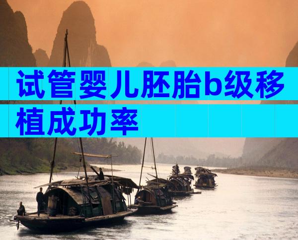 试管婴儿胚胎b级移植成功率