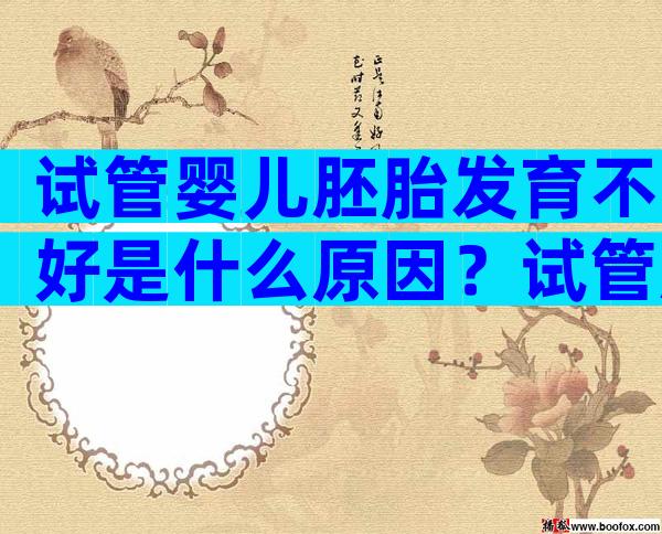 试管婴儿胚胎发育不好是什么原因？试管胚胎发育不好的原因