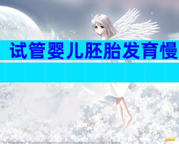 试管婴儿胚胎发育慢
