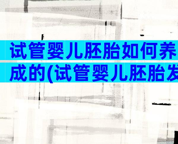 试管婴儿胚胎如何养成的(试管婴儿胚胎发育方式)