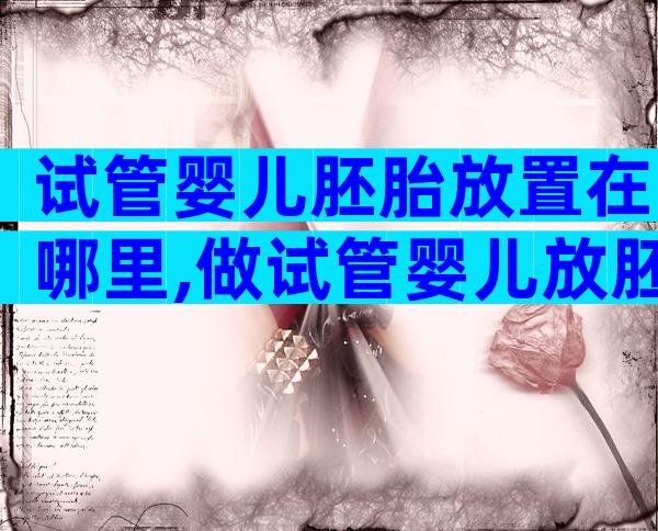 试管婴儿胚胎放置在哪里,做试管婴儿放胚胎在子宫多久能存活