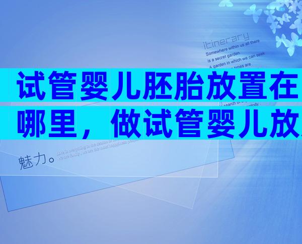 试管婴儿胚胎放置在哪里，做试管婴儿放胚胎在子宫多久能存活
