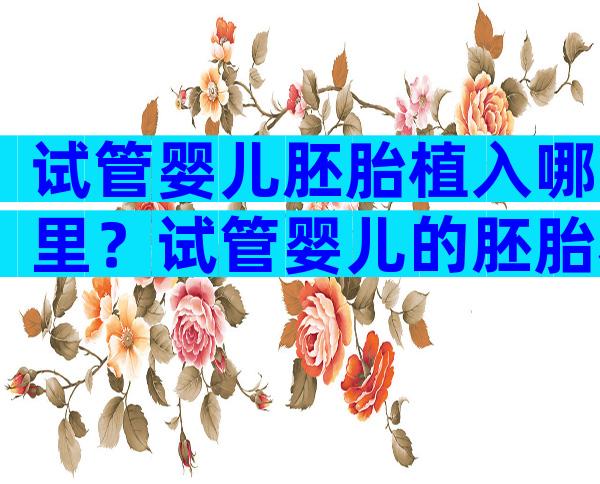试管婴儿胚胎植入哪里？试管婴儿的胚胎移植到哪里？
