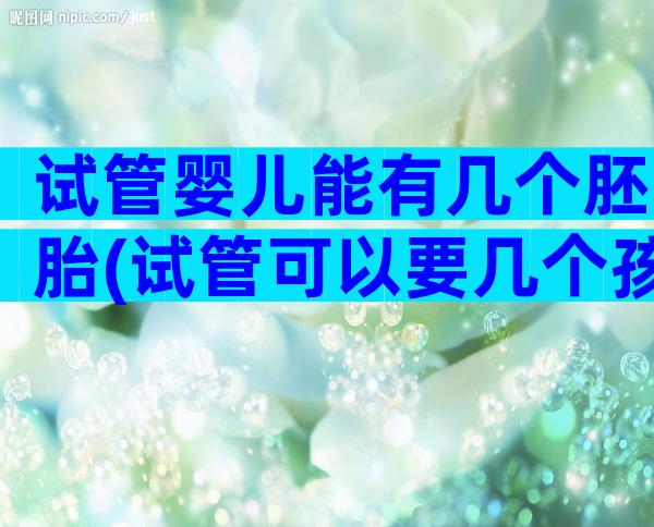 试管婴儿能有几个胚胎(试管可以要几个孩子)