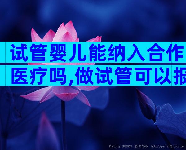 试管婴儿能纳入合作医疗吗,做试管可以报合作医疗吗