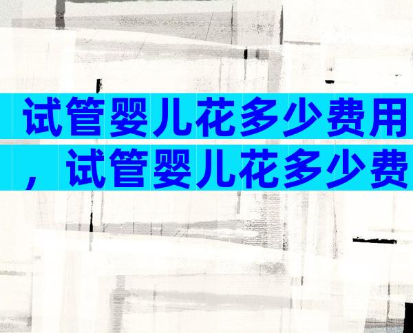 试管婴儿花多少费用，试管婴儿花多少费用啊