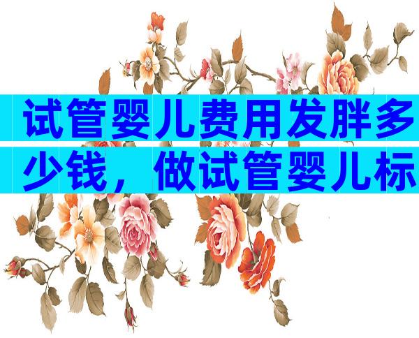 试管婴儿费用发胖多少钱，做试管婴儿标准体重是多少
