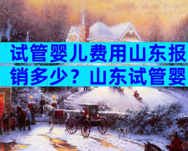 试管婴儿费用山东报销多少？山东试管婴儿补助政策