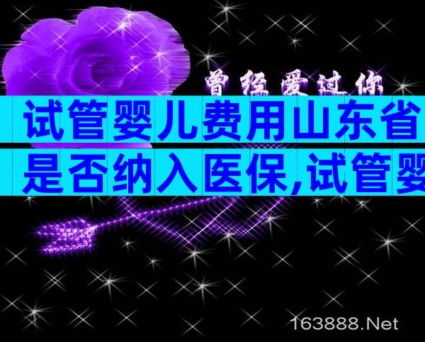 试管婴儿费用山东省是否纳入医保,试管婴儿山东哪个医院比较好