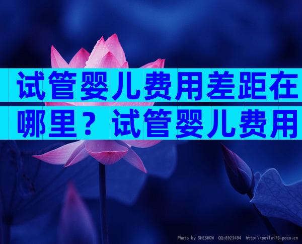 试管婴儿费用差距在哪里？试管婴儿费用明细表