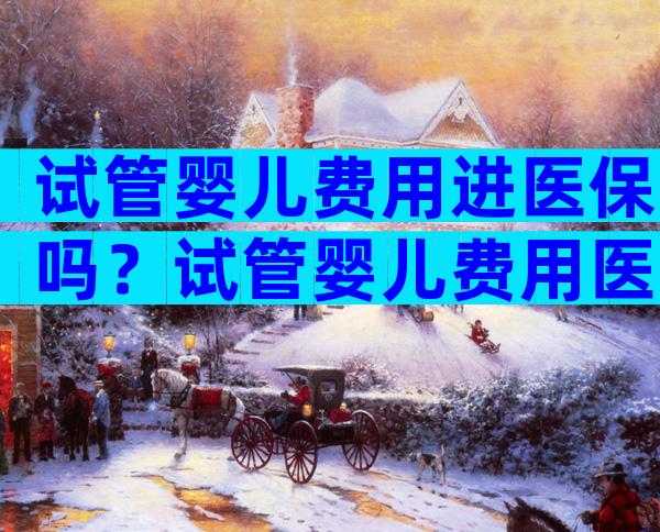 试管婴儿费用进医保吗？试管婴儿费用医疗报销吗？