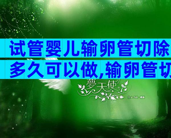 试管婴儿输卵管切除多久可以做,输卵管切除影响做试管吗