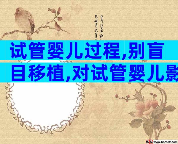 试管婴儿过程,别盲目移植,对试管婴儿影响严重!