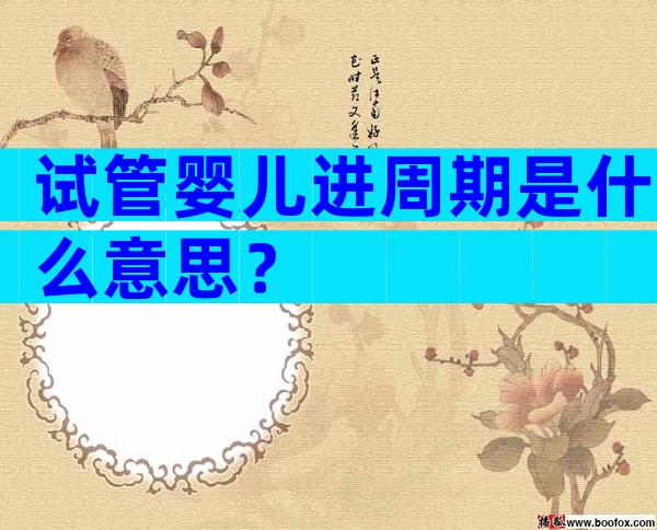试管婴儿进周期是什么意思？