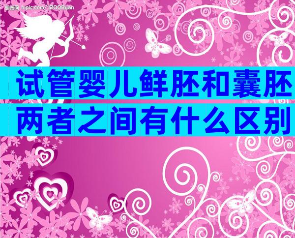试管婴儿鲜胚和囊胚两者之间有什么区别？