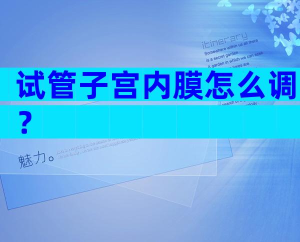 试管子宫内膜怎么调？