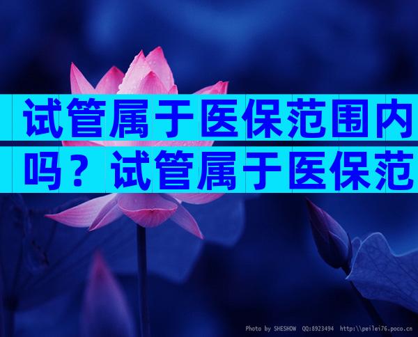 试管属于医保范围内吗？试管属于医保范围内吗？